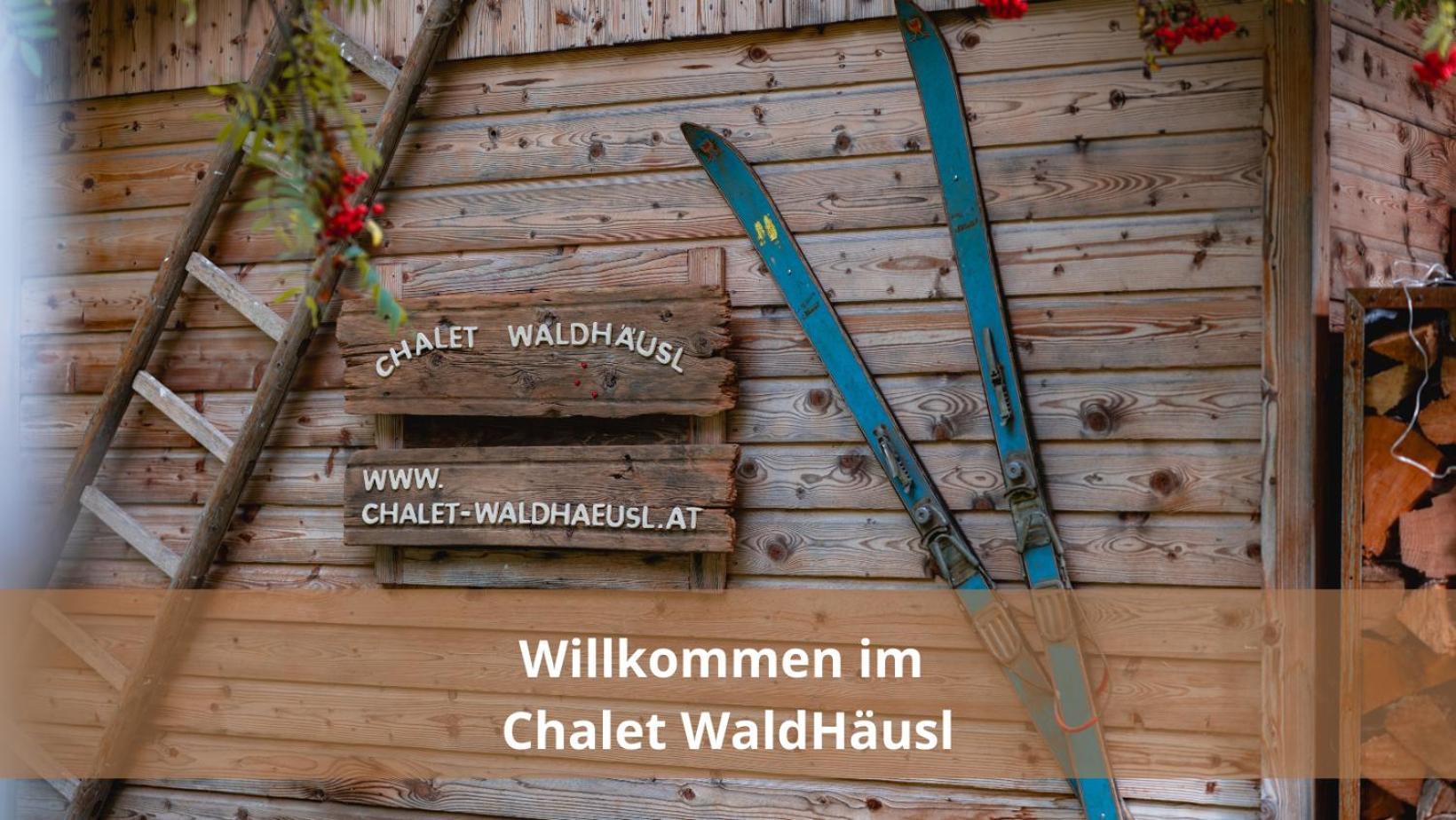 Appartement Waldhaeusl Luxurioese Mit Sauna & Whirlpool, Kamin, Balkon Oder Terrasse Mit Bergblick